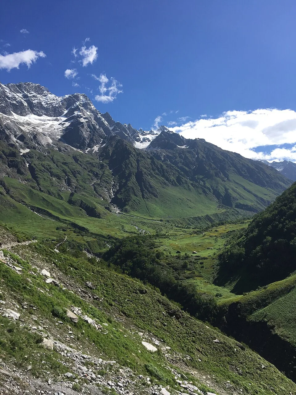 Valley of Flowers Trek
