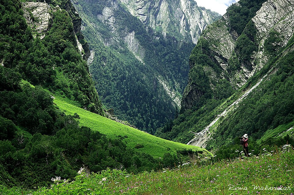 Valley of Flowers Trek