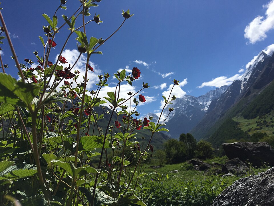 Valley of Flowers Trek