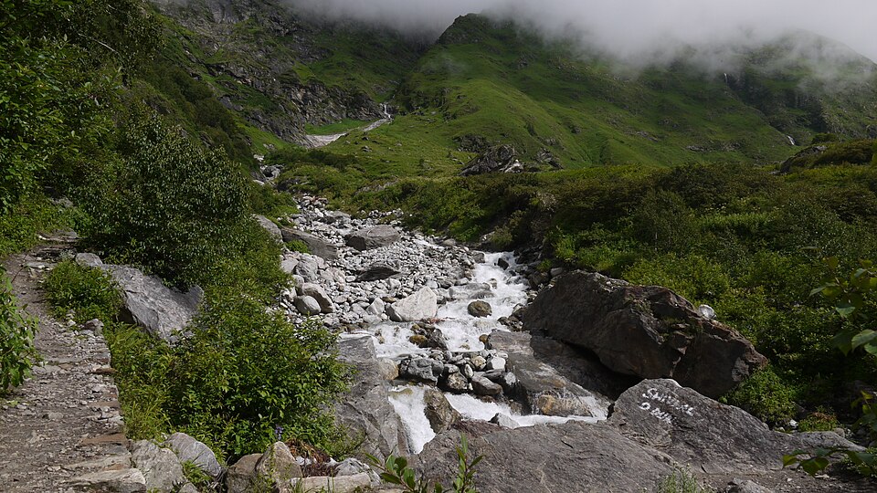 Valley of Flowers Trek