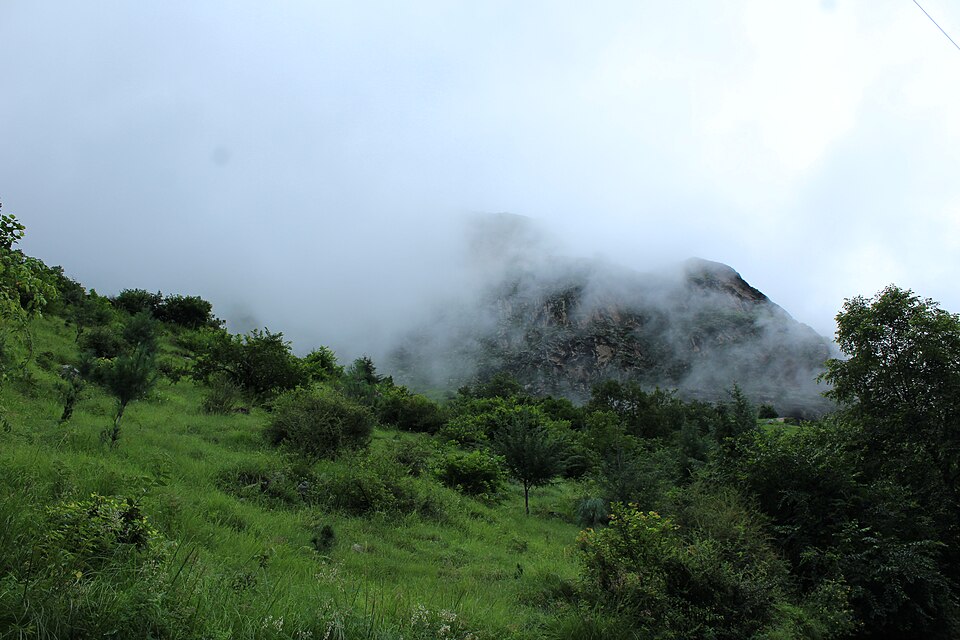 Valley of Flowers Trek