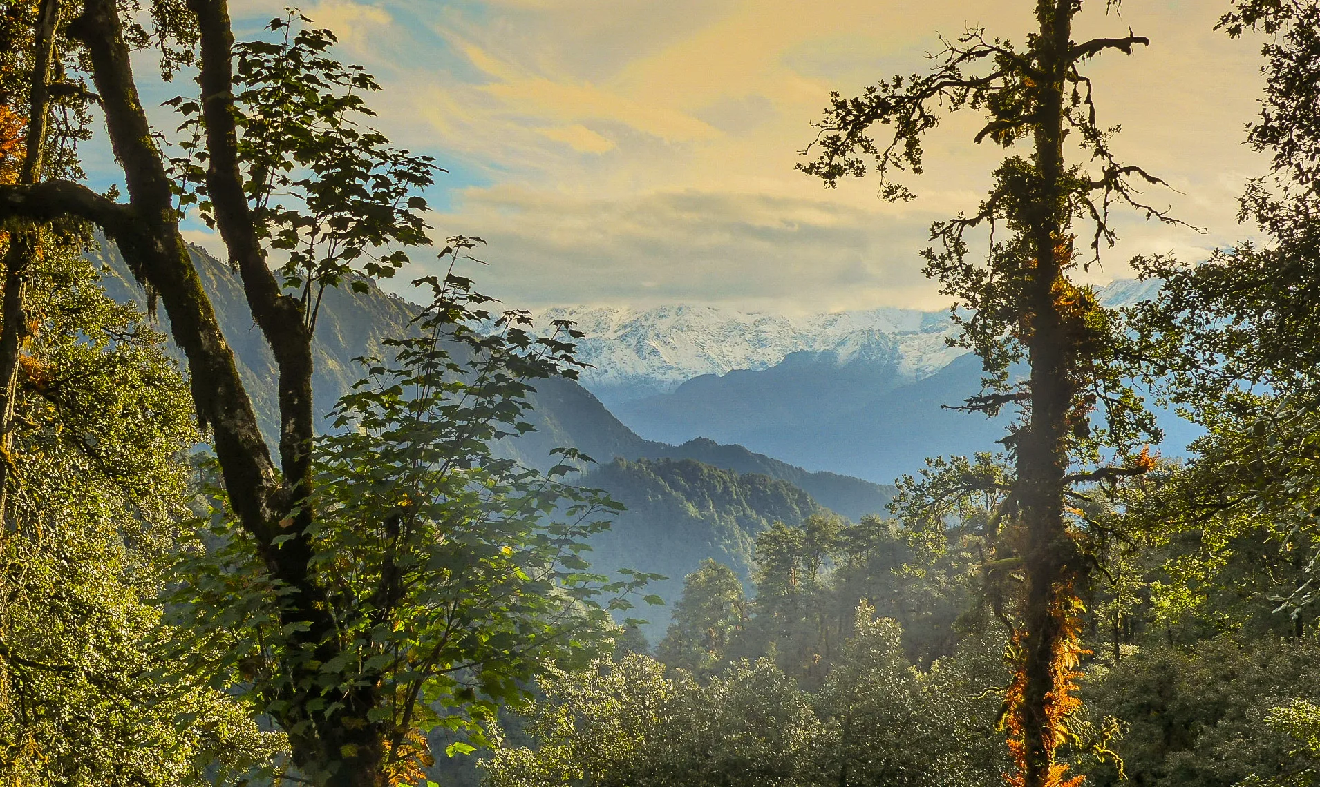 Dayara Bugyal Trek
