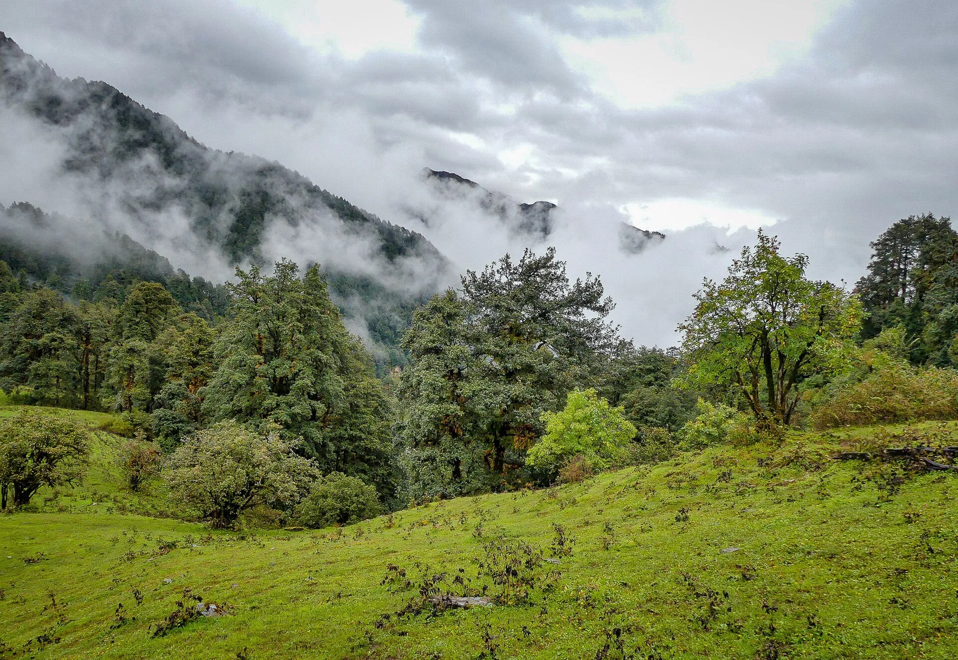 Dayara Bugyal Trek