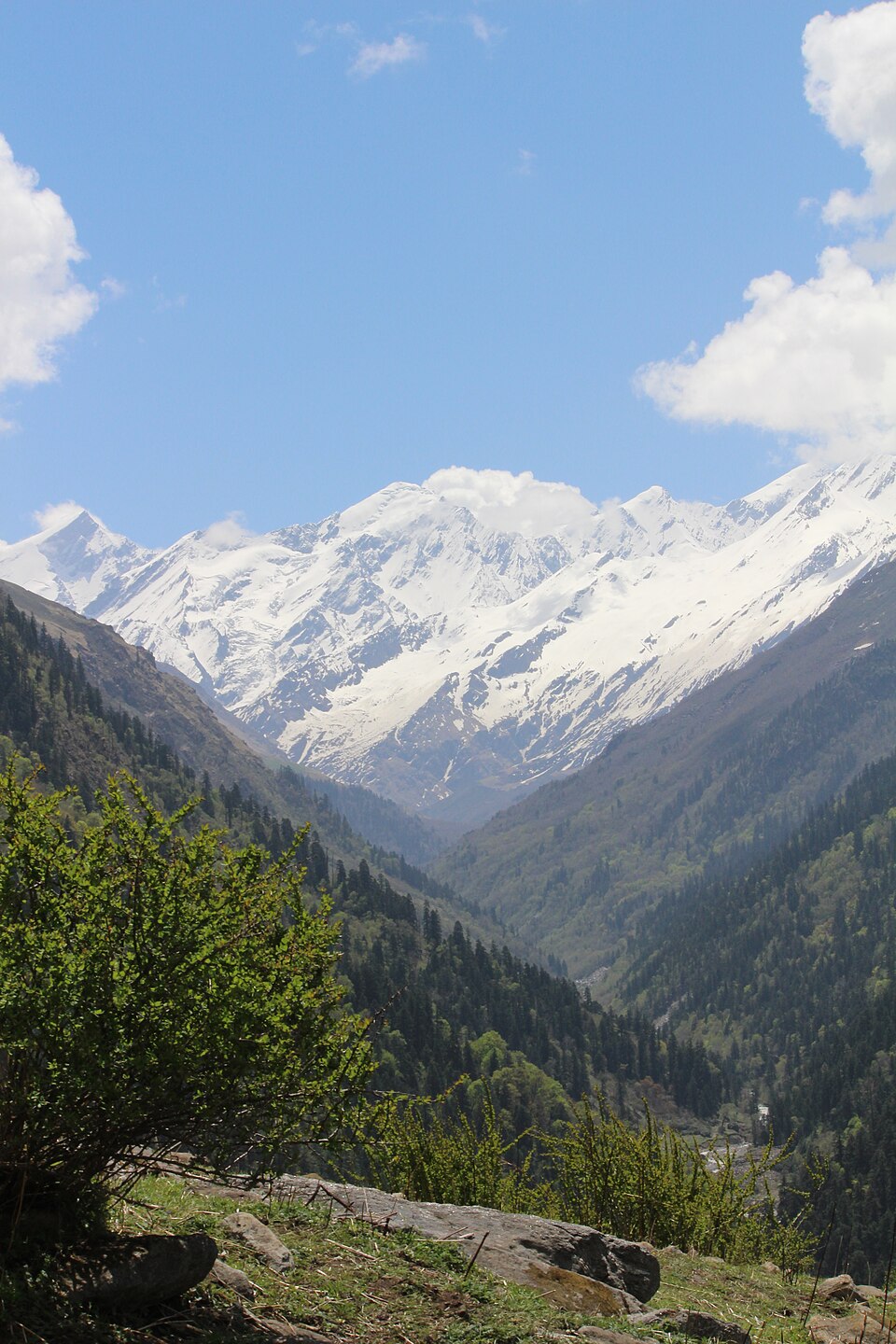 Bali Pass Trek