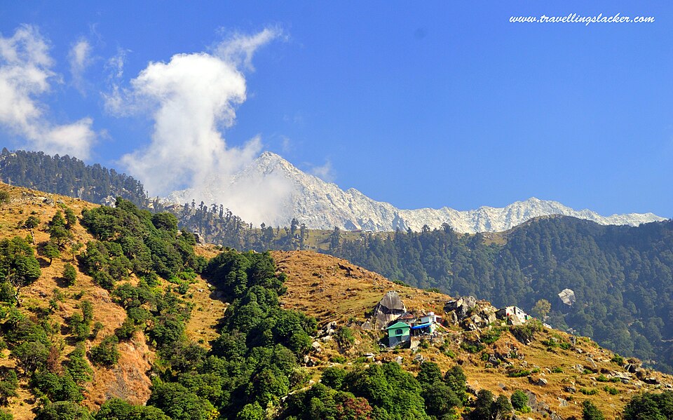 Triund Trek
