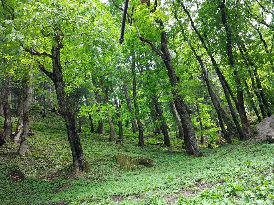 Kheerganga Trek