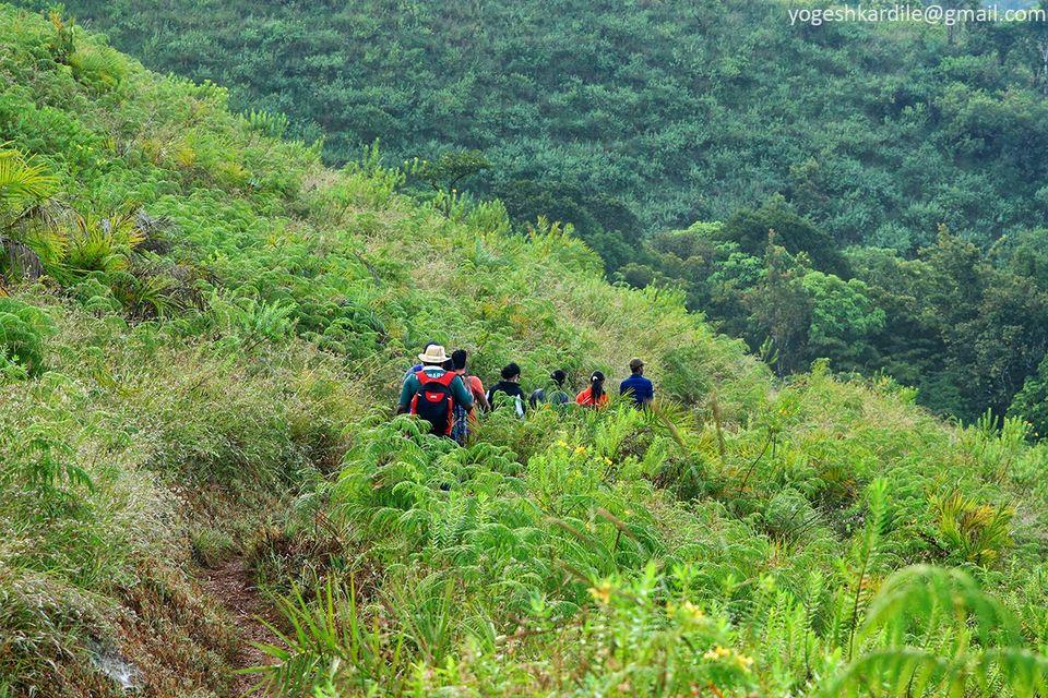 Kudremukh Trek