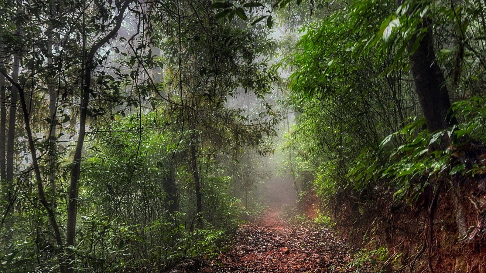 Kumara Parvatha Trek