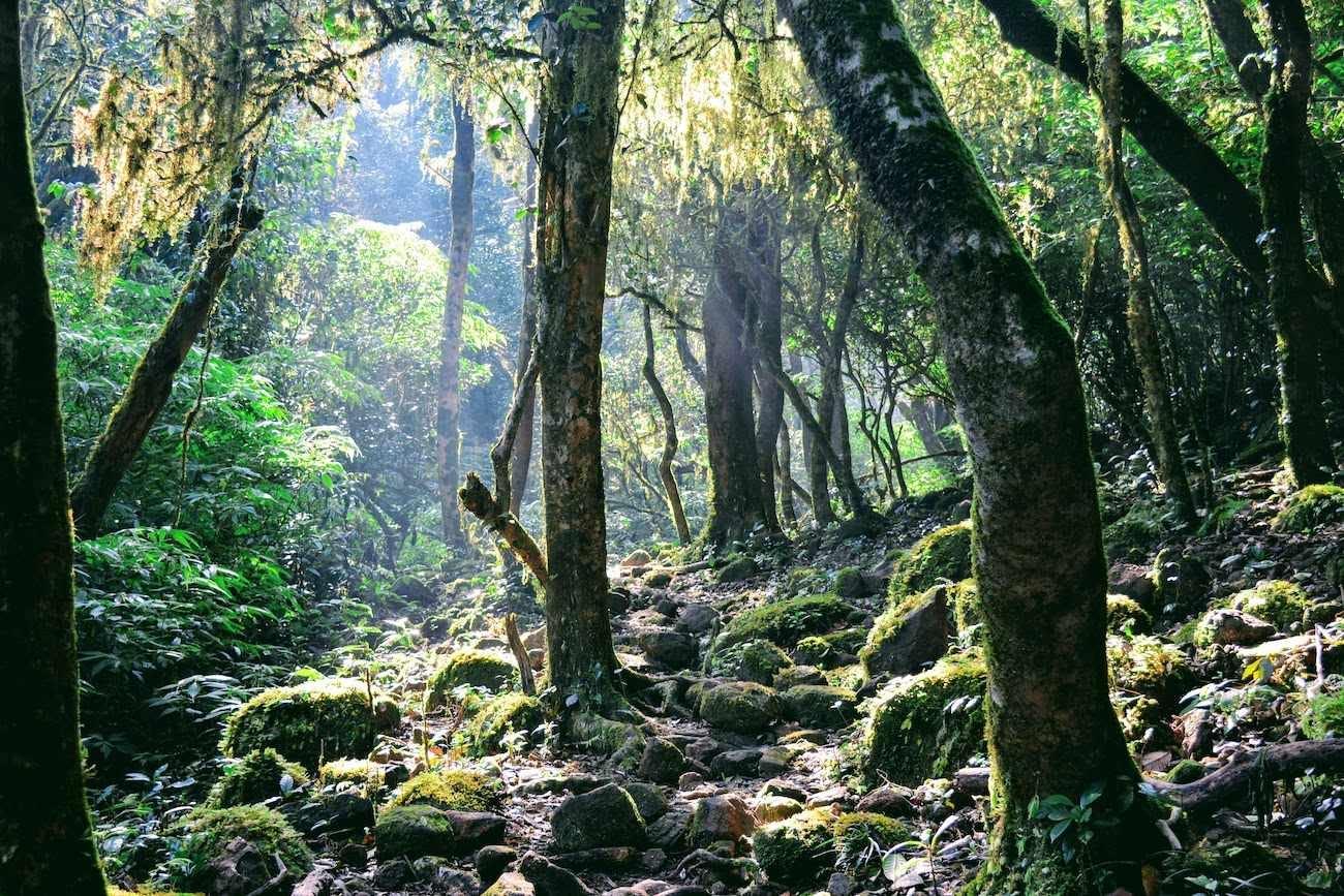 Kumara Parvatha Trek