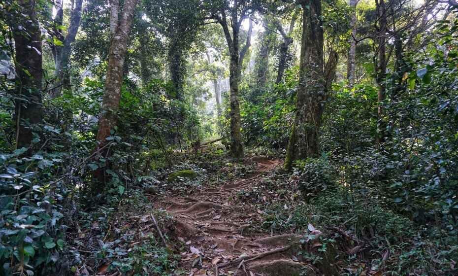 Kumara Parvatha Trek