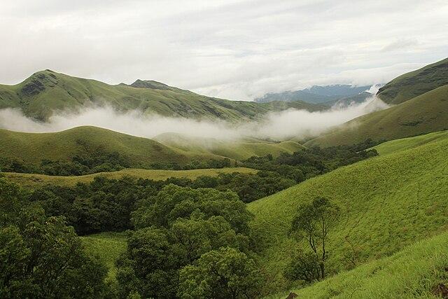 Kodachadri Trek
