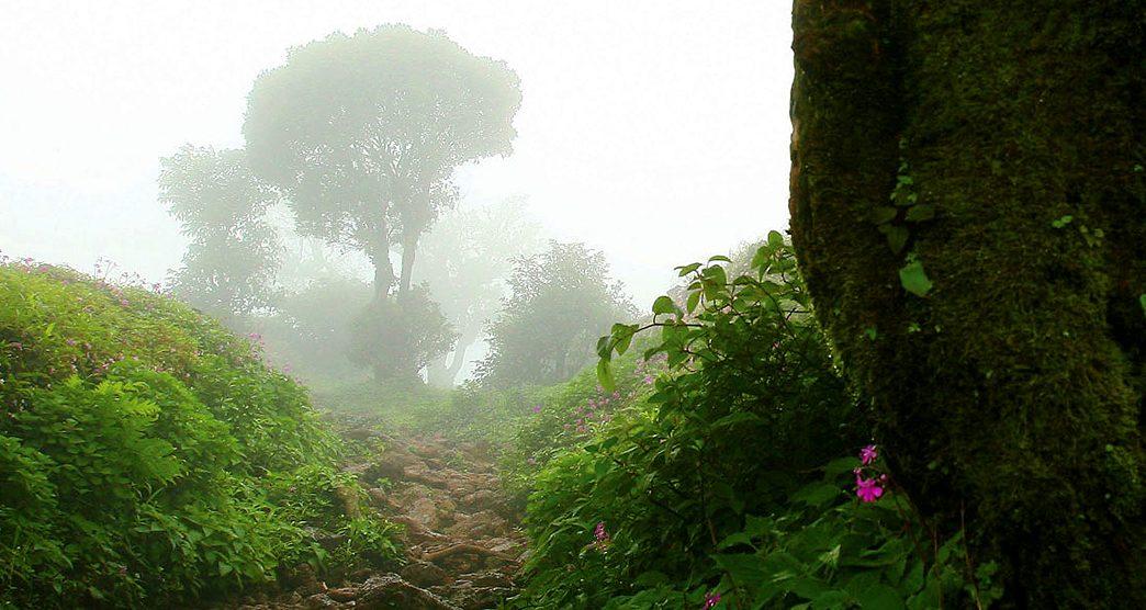 Kodachadri Trek