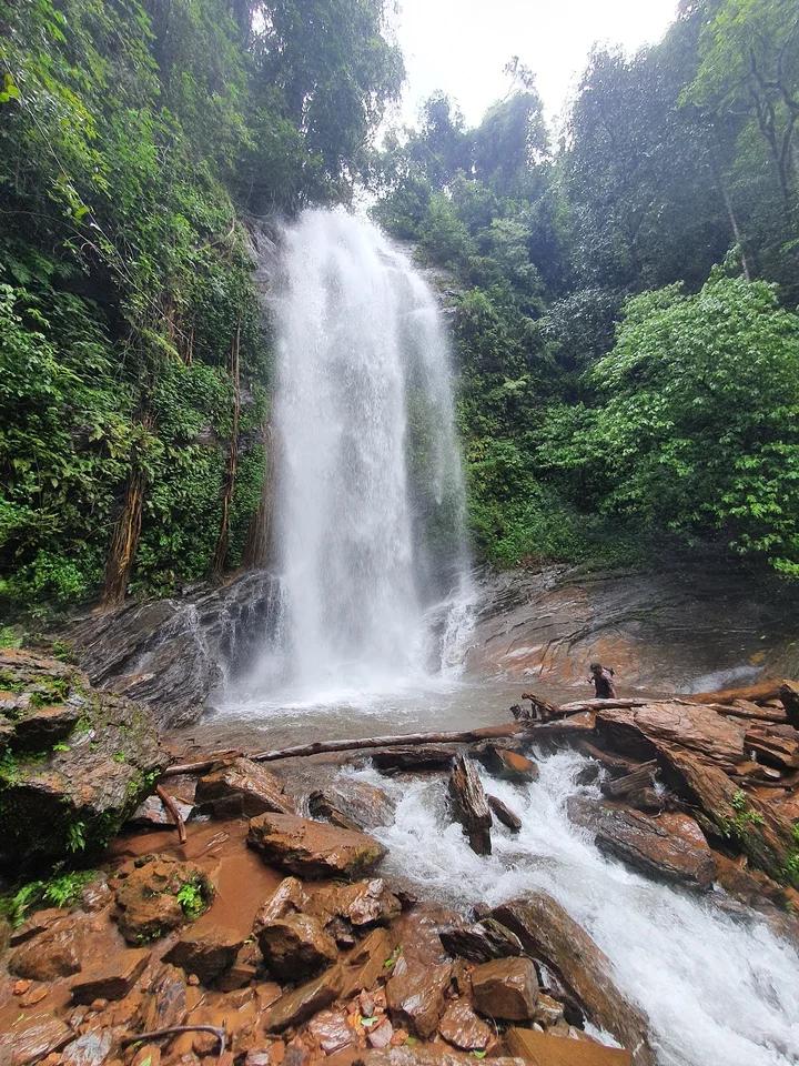 Kodachadri Trek