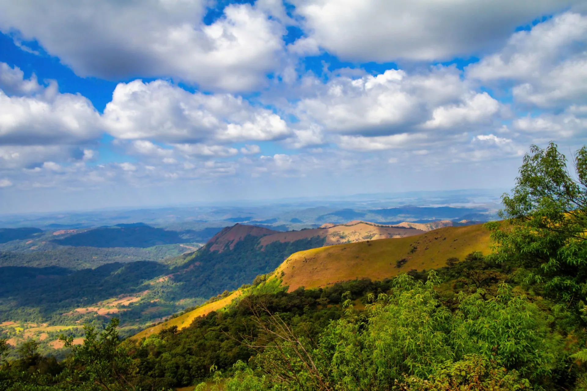 Kodachadri Trek