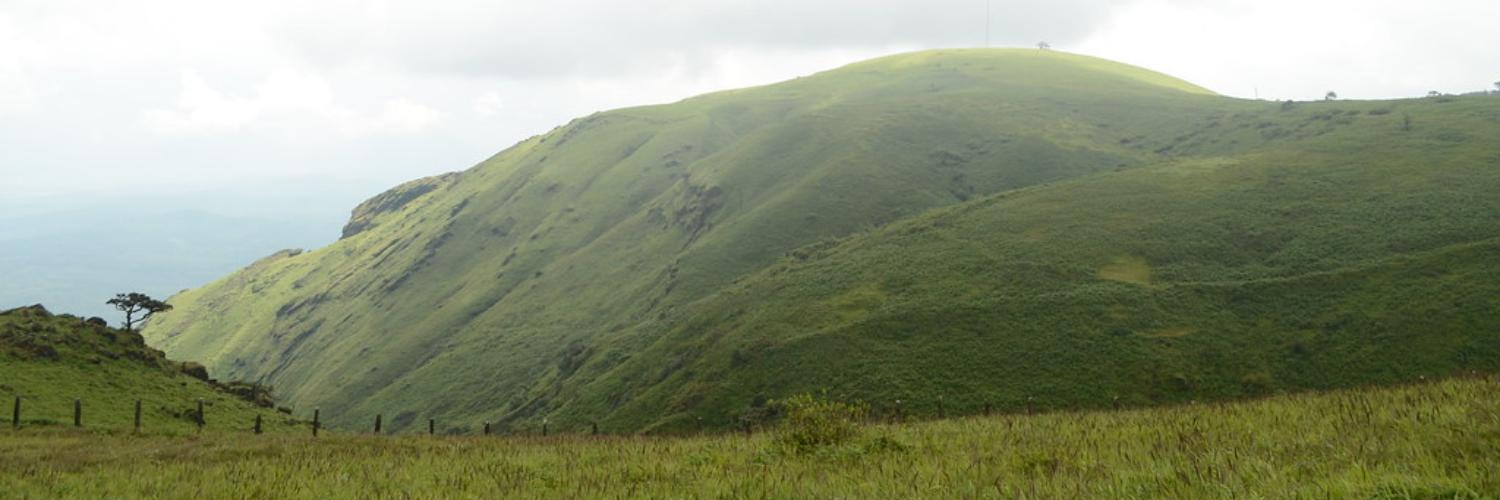 Baba Budangiri Trek