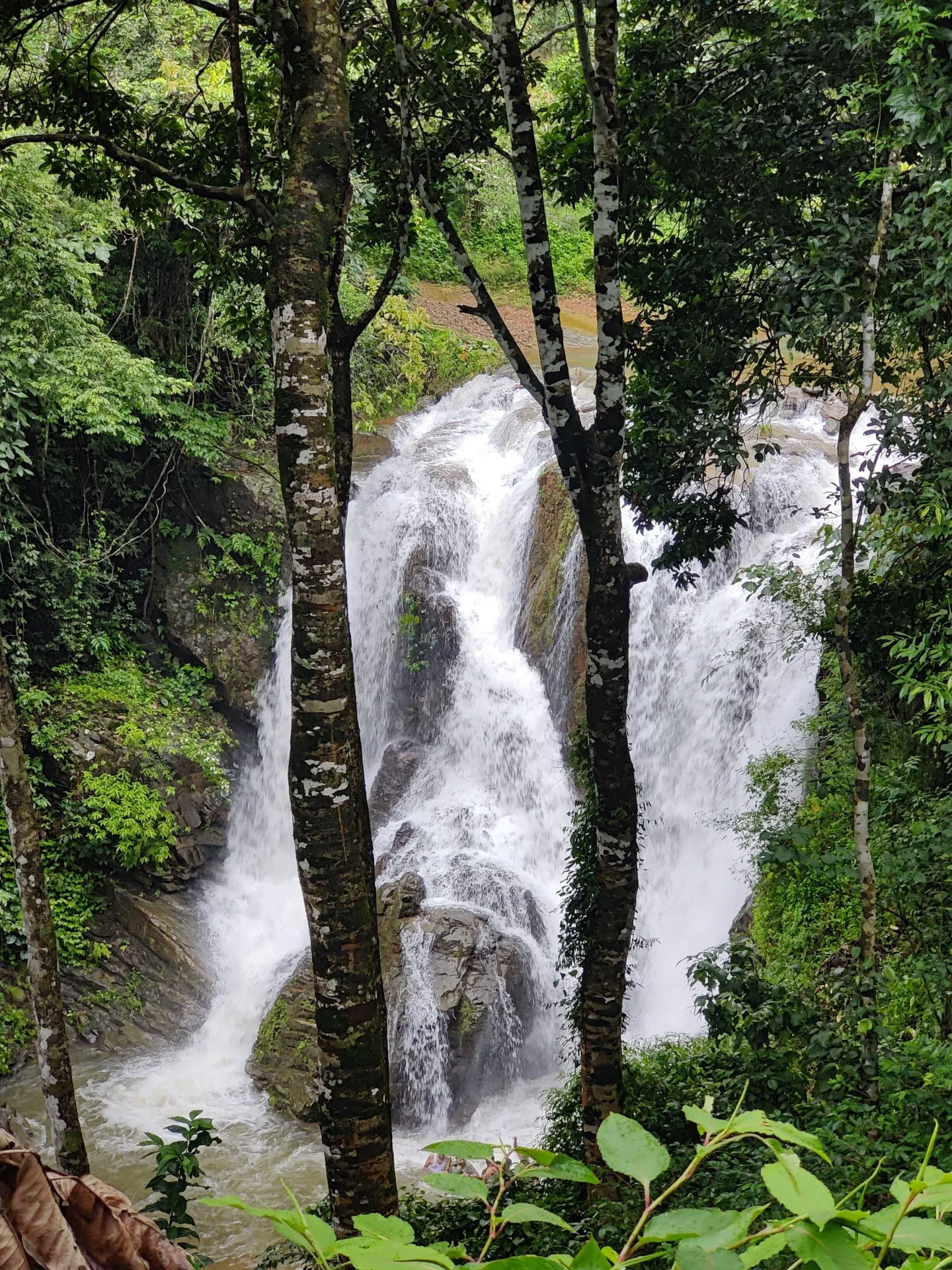 Bandaje Falls Trek