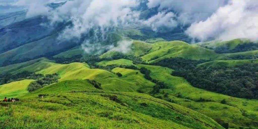 Kurinjal Peak Trek