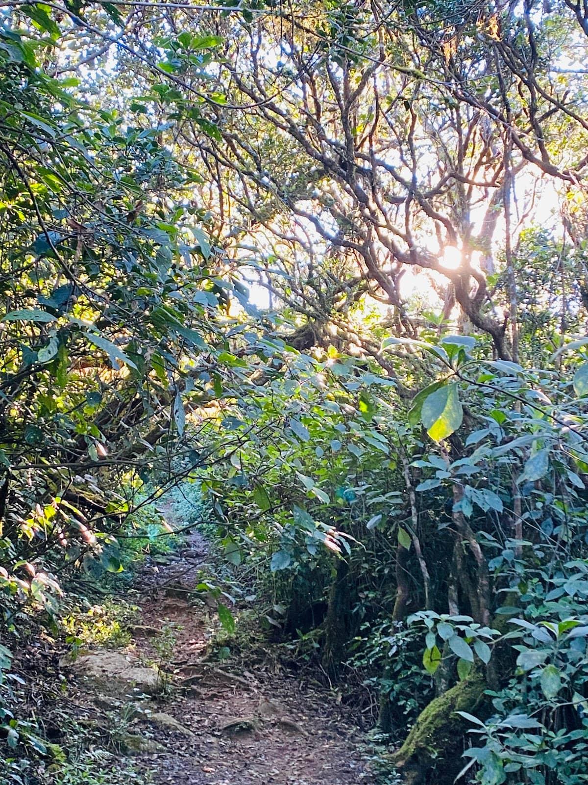 Valikunja Peak Trek