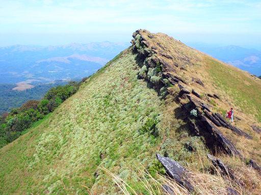 Gangadikal Peak Trek