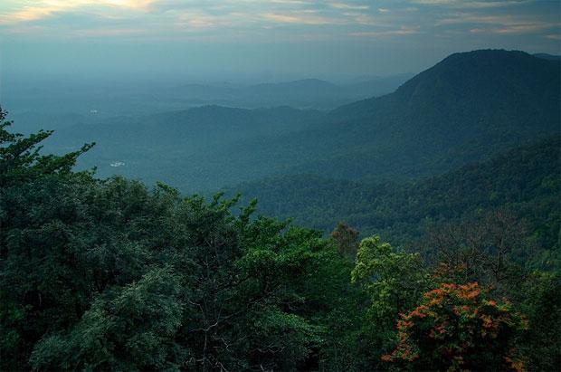 Agumbe Rainforest Trek