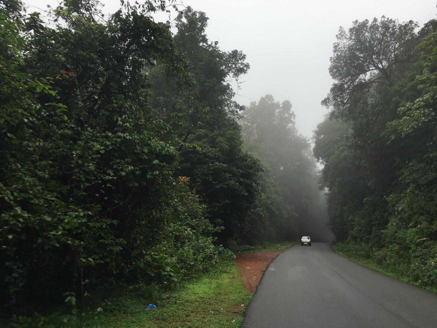 Agumbe Rainforest Trek