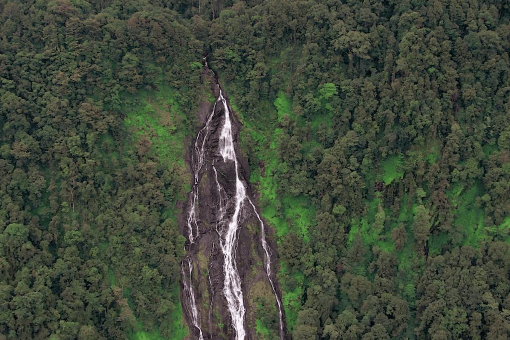 Agumbe Rainforest Trek