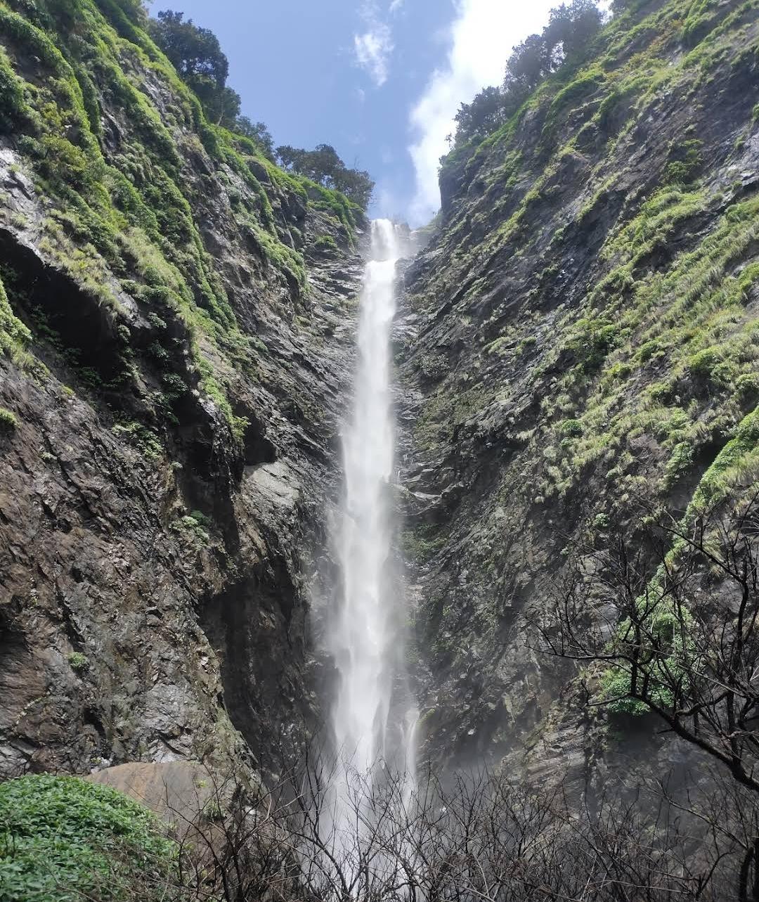 Agumbe Rainforest Trek