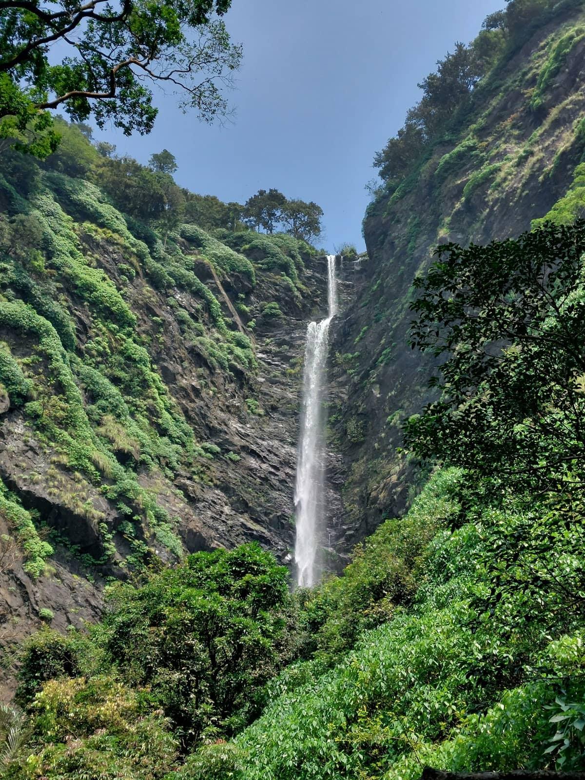 Agumbe Rainforest Trek