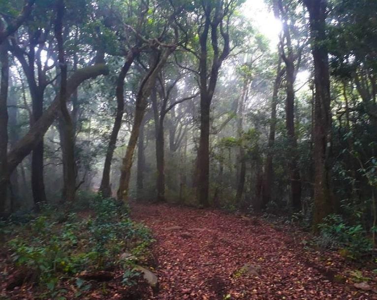 Tavoor Hills Trek