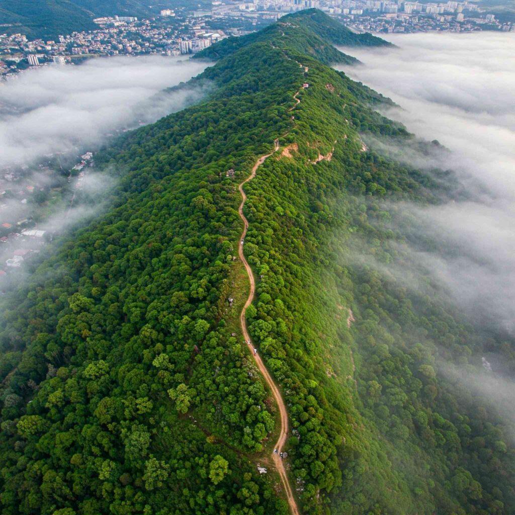 Tavoor Hills Trek