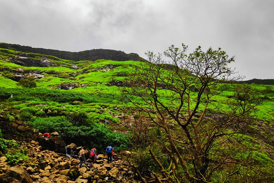 Visapur Fort Trek