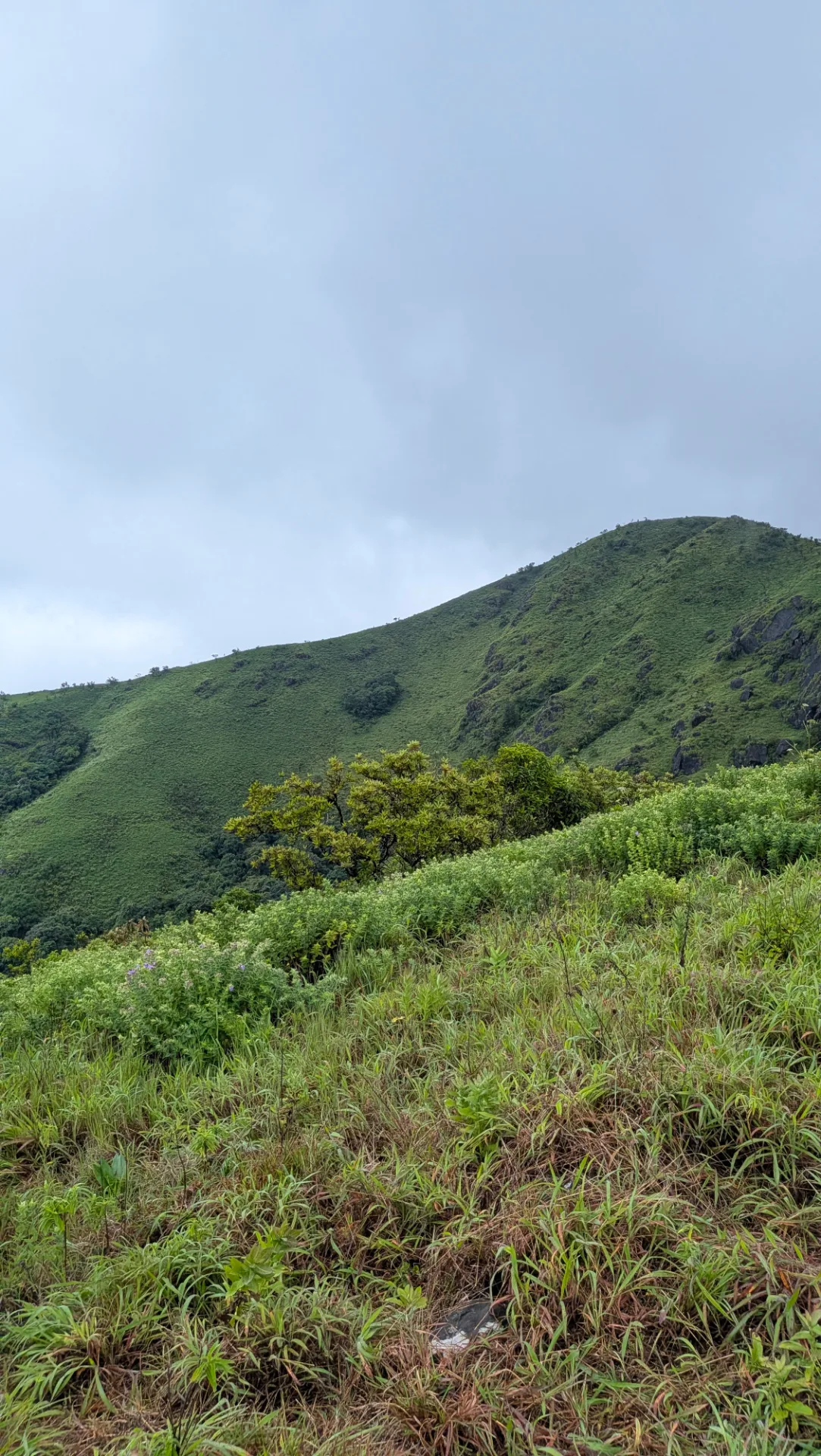 All About Coorg Nelji Trek