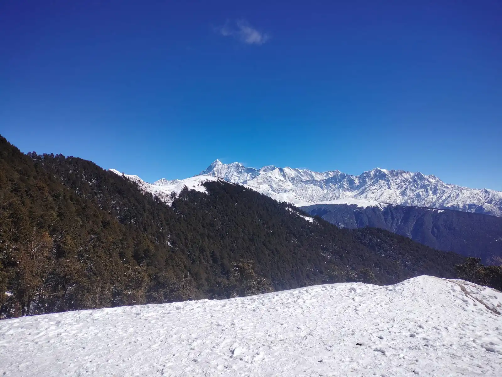 Ali Bedni Bugyal Trek