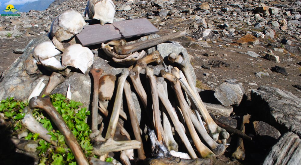Roopkund Trek