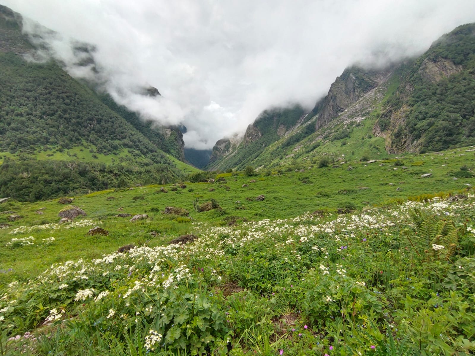 🌸 Valley of Flowers: The Place That Quietly Stole My Heart 🫰