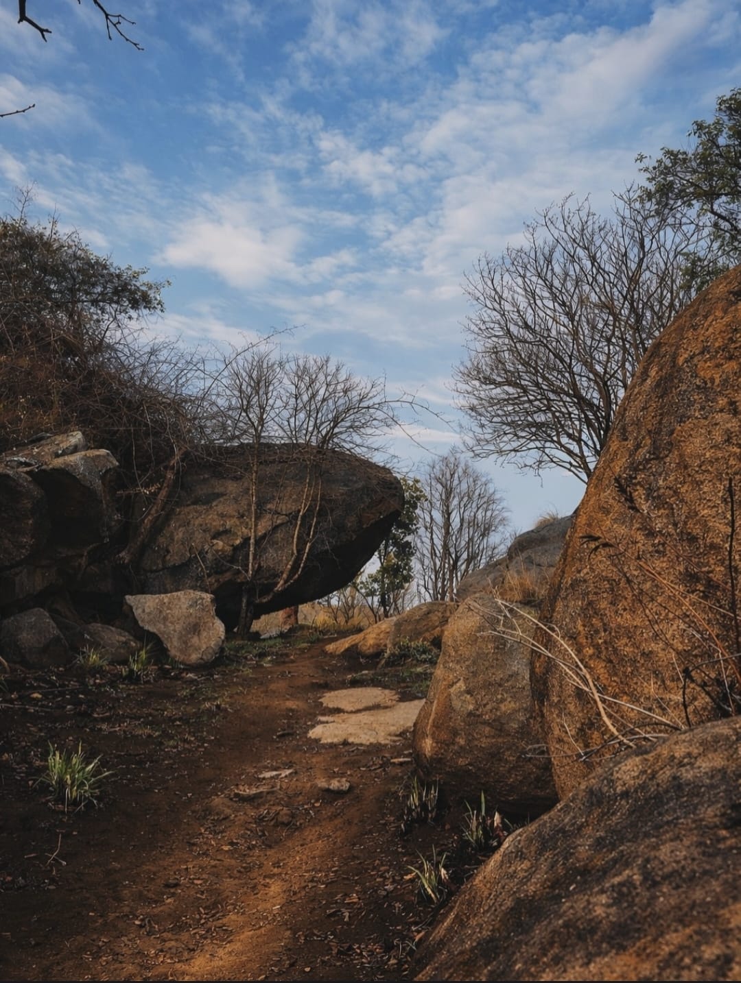 Uttari Betta Trek